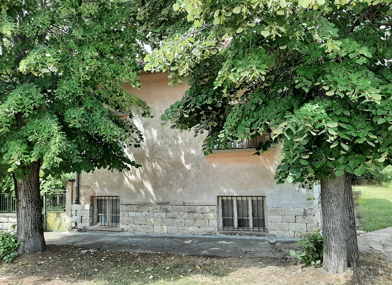 picture