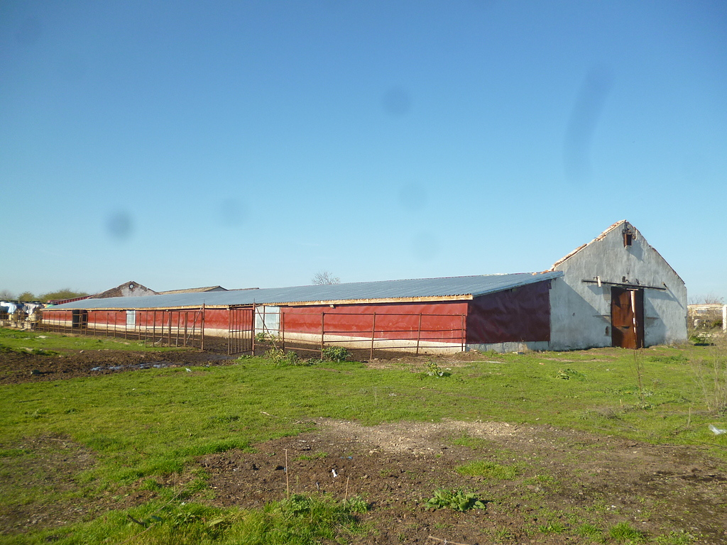/old-farm-with-land-and-cattle-for-sale/