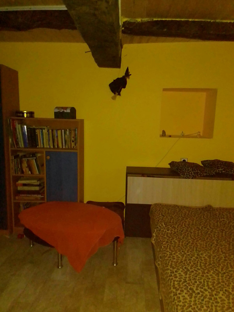 picture